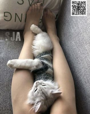 五月婷婷色丁香_720高清在线观看
