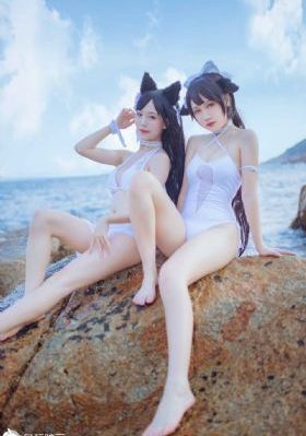 黄理论视频_免费追剧在线观看